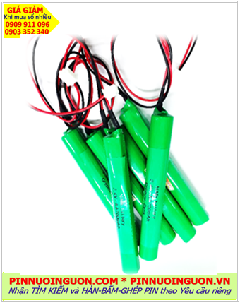 Pin đèn thoát hiểm Paragon 2.4v AA1500mAh; Pin đèn sự cố khẩn cấp Paragon 2.4v AA1500mAh